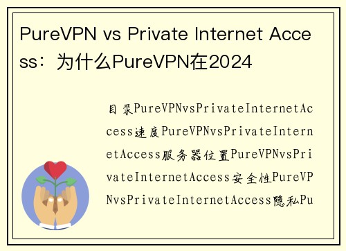 PureVPN vs Private Internet Access：为什么PureVPN在2024
